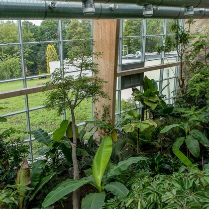 Pawilon lasu deszczowego w Śląskim Ogrodzie Zoologicznym. fot. Tomasz Żak / UMWS
