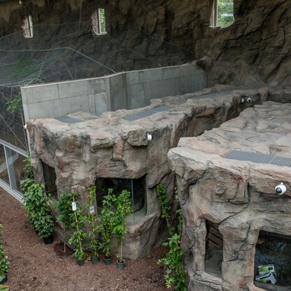 Pawilon lasu deszczowego w Śląskim Ogrodzie Zoologicznym. fot. Tomasz Żak / UMWS