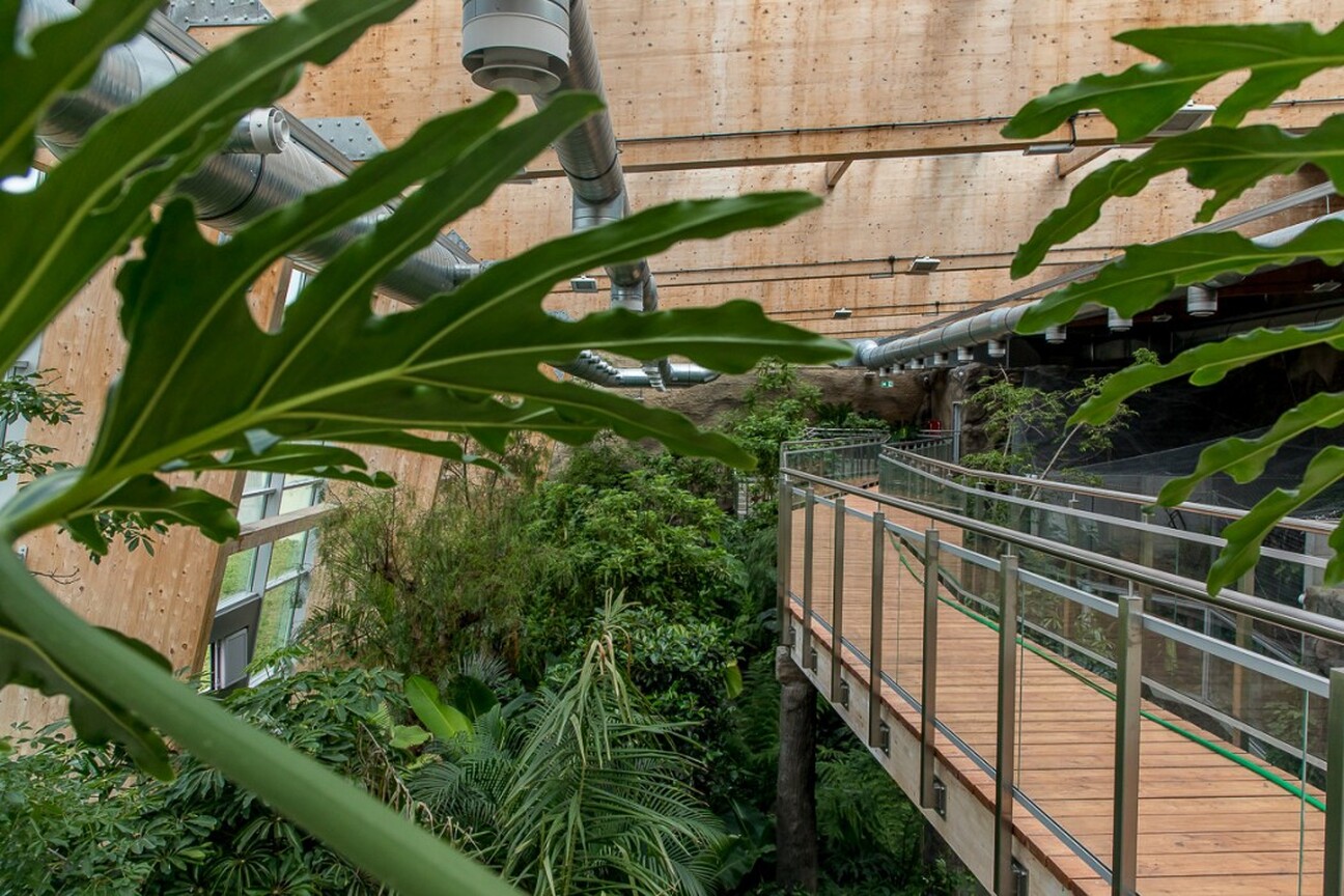umws20230706_zoo_las_tz032.jpg