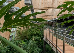 umws20230706_zoo_las_tz032.jpg