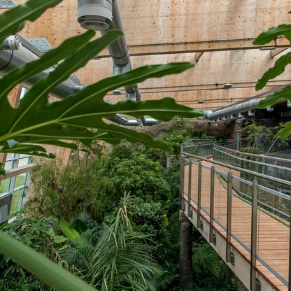 Pawilon lasu deszczowego w Śląskim Ogrodzie Zoologicznym. fot. Tomasz Żak / UMWS