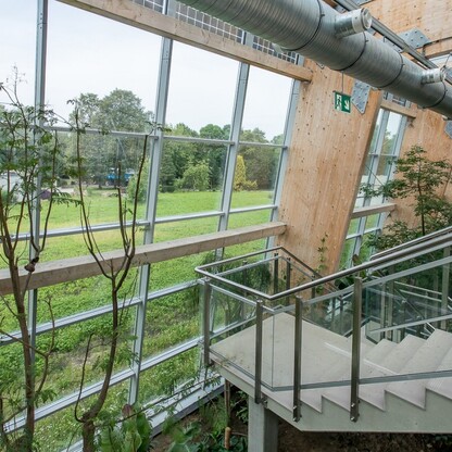 Pawilon lasu deszczowego w Śląskim Ogrodzie Zoologicznym. fot. Tomasz Żak / UMWS