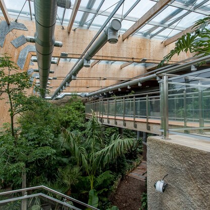 Pawilon lasu deszczowego w Śląskim Ogrodzie Zoologicznym. fot. Tomasz Żak / UMWS