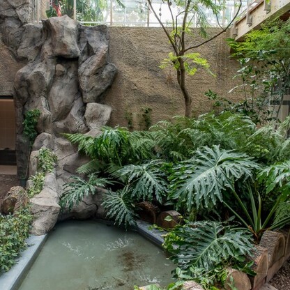 Pawilon lasu deszczowego w Śląskim Ogrodzie Zoologicznym. fot. Tomasz Żak / UMWS