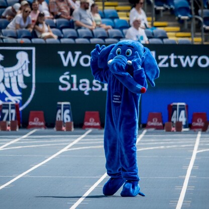 SILESIA Memoriał Kamili Skolimowskiej. fot. Tomasz Żak / UMWS
