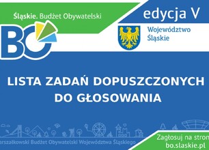 ostateczna-lista-do-glosowania-na-slaskie-pl_www.jpg