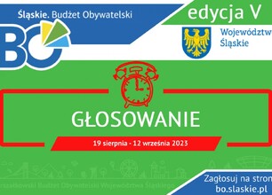 glosowanie_www.jpg