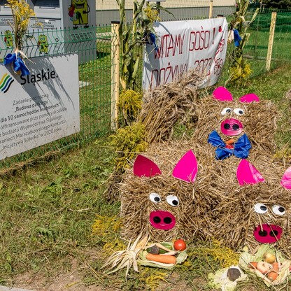 XXIII Dożynki Województwa Śląskiego. fot. Tomasz Żak / UMWS
