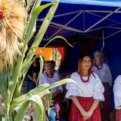 XXIII Dożynki Województwa Śląskiego. fot. Tomasz Żak / UMWS