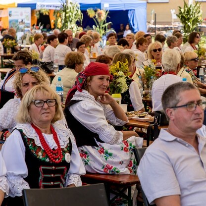 XXIII Dożynki Województwa Śląskiego. fot. Tomasz Żak / UMWS
