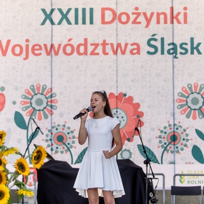 XXIII Dożynki Województwa Śląskiego. fot. Tomasz Żak / UMWS