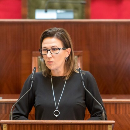 Konferencja podsumowująca projekt 