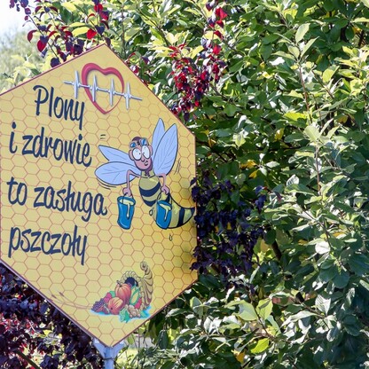 „Święto Miodu”  Województwa Śląskiego. fot. Tomasz Żak / UMWS