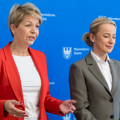 Wsparcie w ramach konkursu „Śląska paleta niepełnosprawności”. fot. Tomasz Żak / UMWS