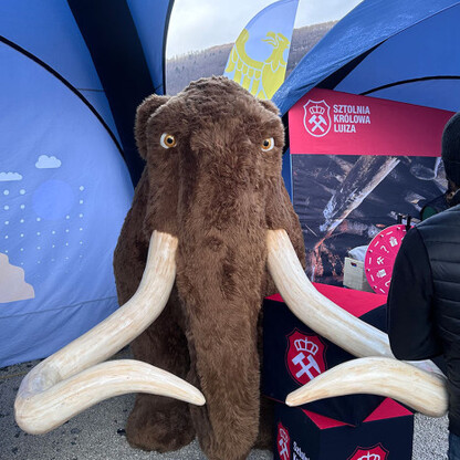 Duży, naturalny mamut zagraża zwiedzającym w 