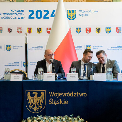 Przedstawiciele sejmików z całej Polski omawiają problem nielegalnego składowania odpadów w Śląskim Voivodztwie. (wygenerowano przez AI)