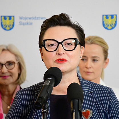 Wicemarszałek Łukasz Czopik prowadzi briefingu w Gmachu Sejmu Śląskiego, prezentując program in-vitro dla par niepłodnych. (wygenerowano przez AI)