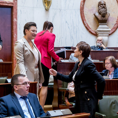 Sesja Sejmiku Województwa Śląskiego. fot. Tomasz Żak / UMWS