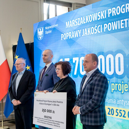 Fundusze UE na OZE i Marszałkowski Program Poprawy Jakości Powietrza. fot. Tomasz Żak / UMWS