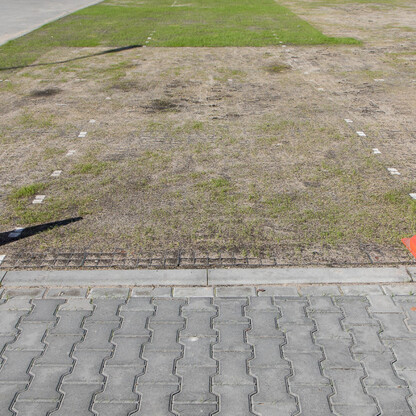 Katowickie Centrum Onkologii wzbogaciło się o ekologiczny parking, fot. Tomasz Żak / UMWS