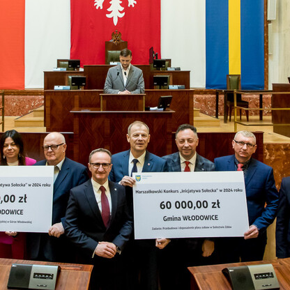 Marszałkowski konkurs „Inicjatywa Sołecka”; subregion zachodni i subregion centralny. fot. Tomasz Żak / UMWS
