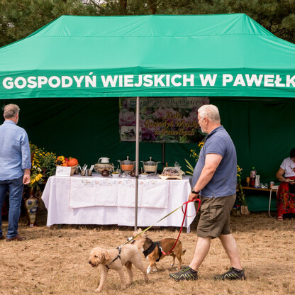 Święto Miodu Województwa Śląskiego. fot. Tomasz Żak / UMWS