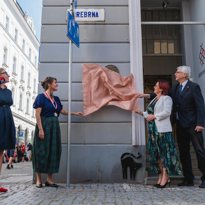 fot. Stowarzyszenie Serfenta