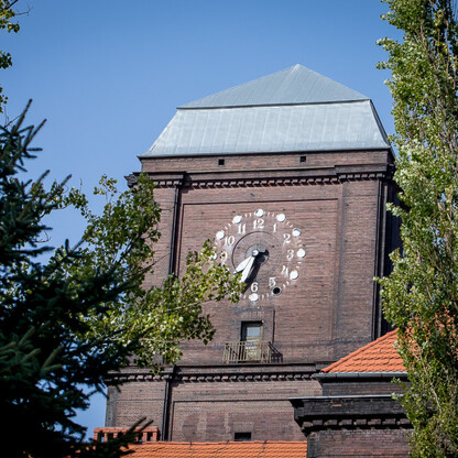 Rewitalizacja terenów zdegradowanych. fot. Tomasz Żak / UMWS