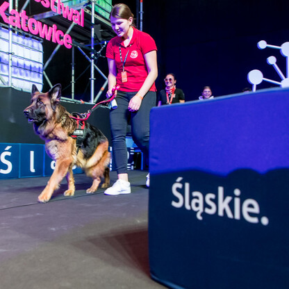 Śląski Festiwal Nauki 